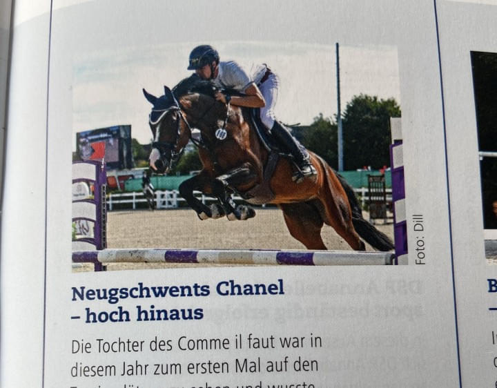 Neugschwents-Chanell